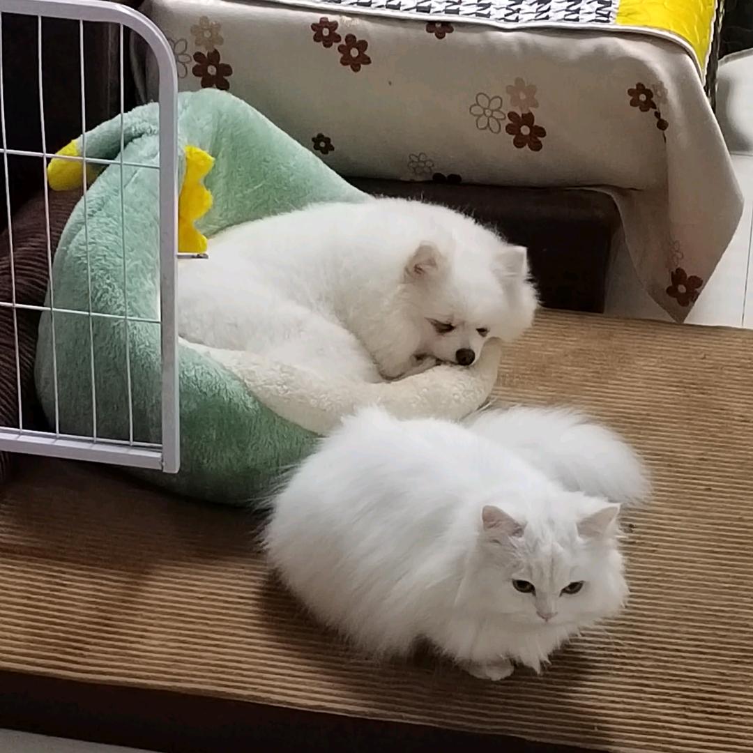 @kissy小宝贝