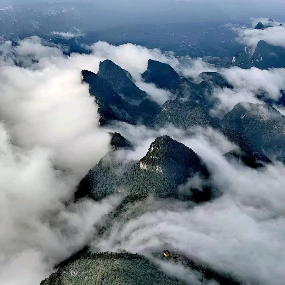 ℳ❥ 孤獨成影༊ღ᭄