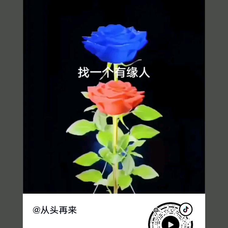 龙在，，，天下