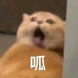 略略略