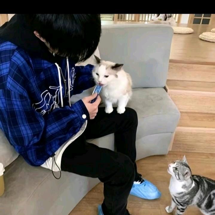 🎗人生的路💥