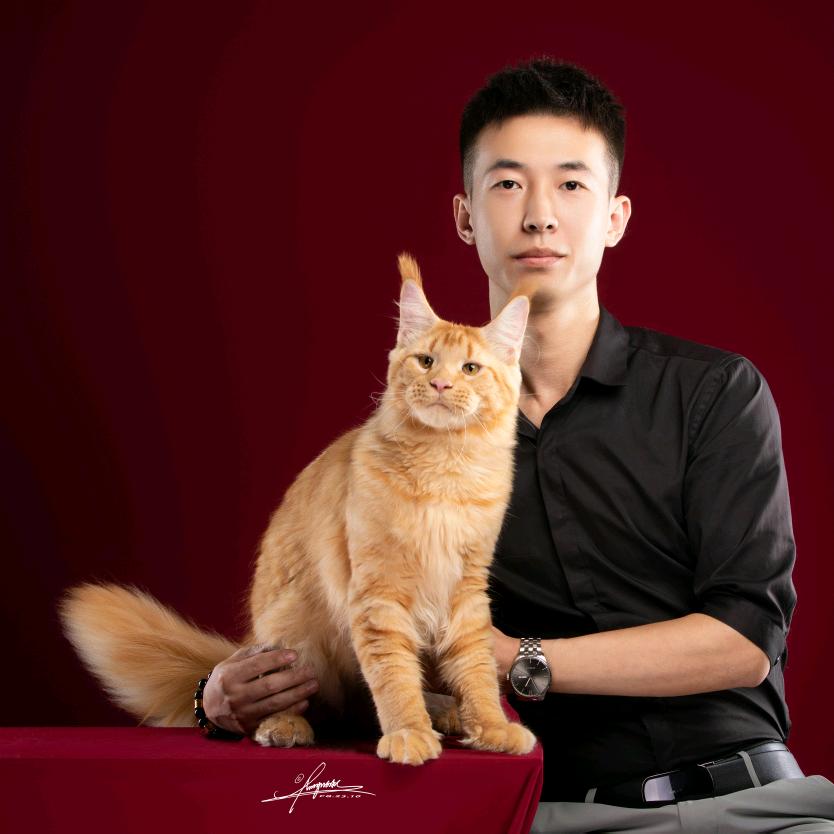 王的森林缅因猫