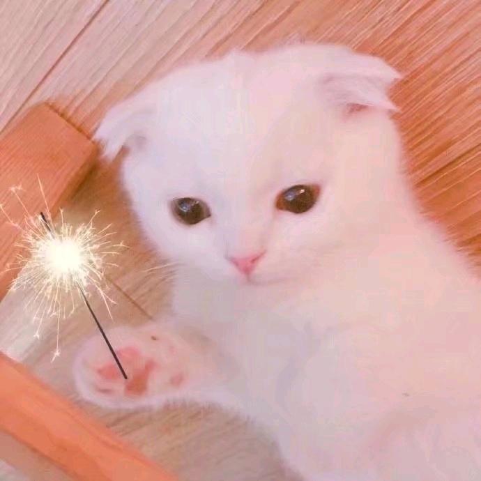 钢筋带班晓鸿