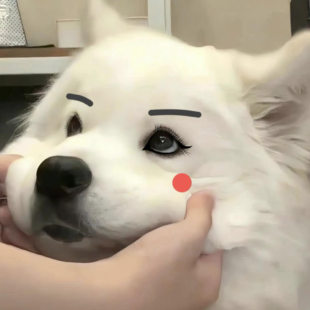 始终如一..