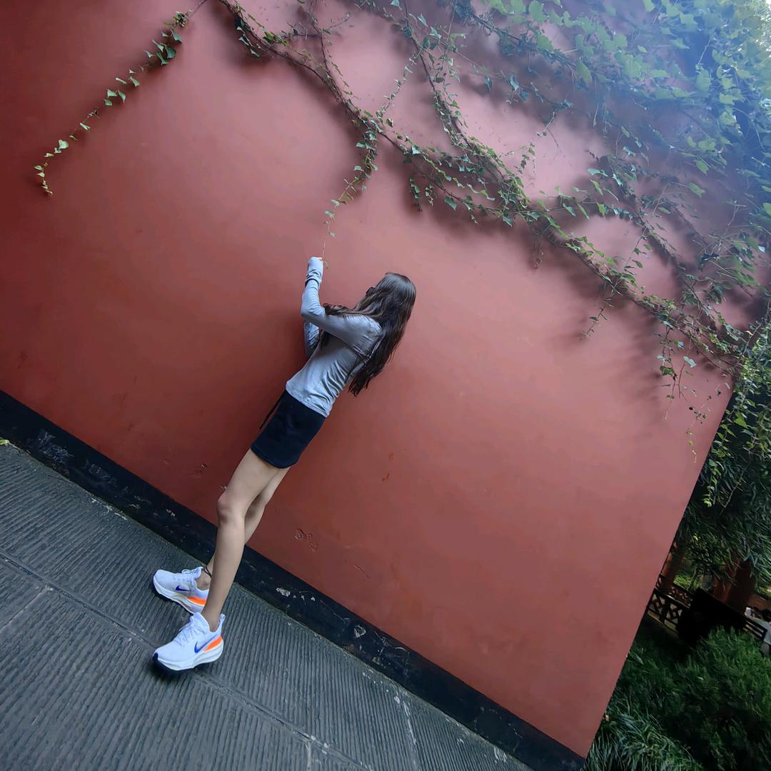 ᥫᩣ然然然然然然...