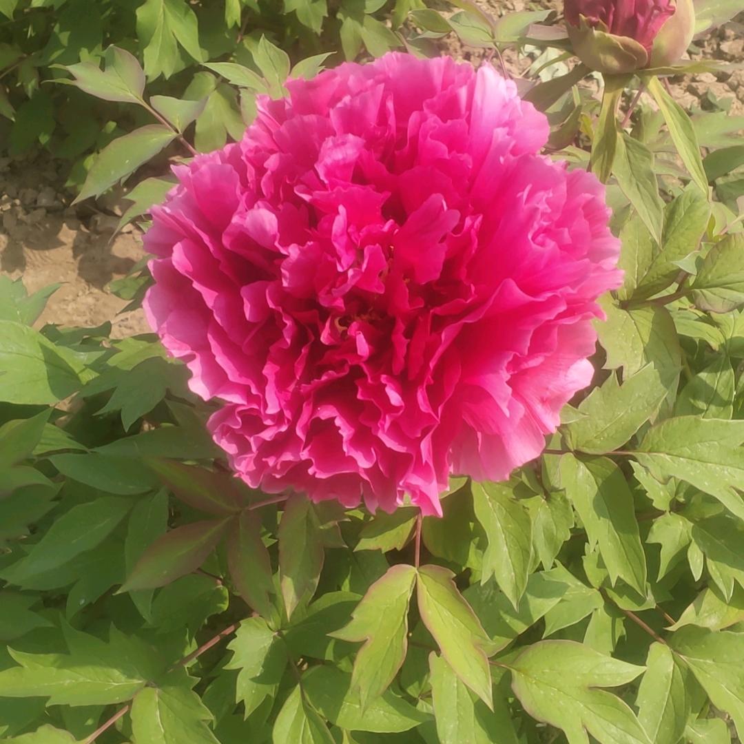 开心的两个宝贝。