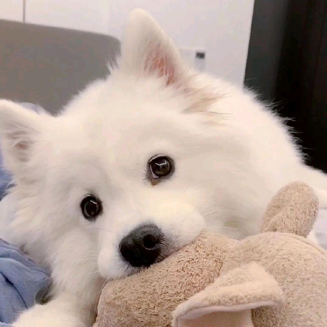 澈