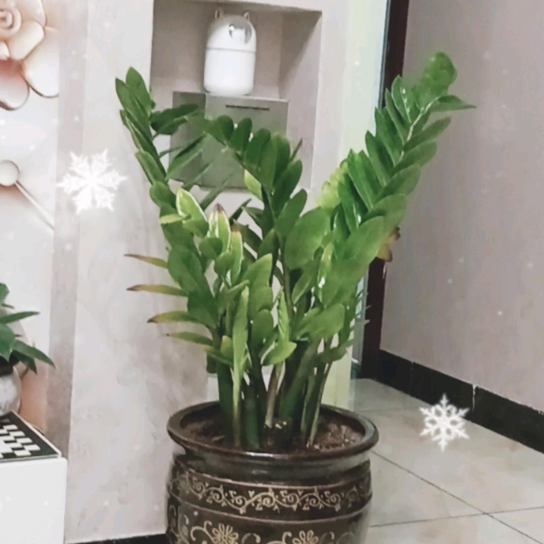 淡🐉定