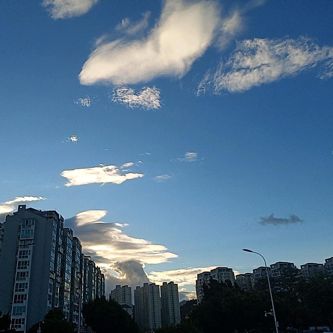 意难平