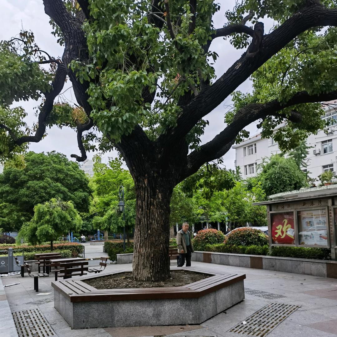记得我
