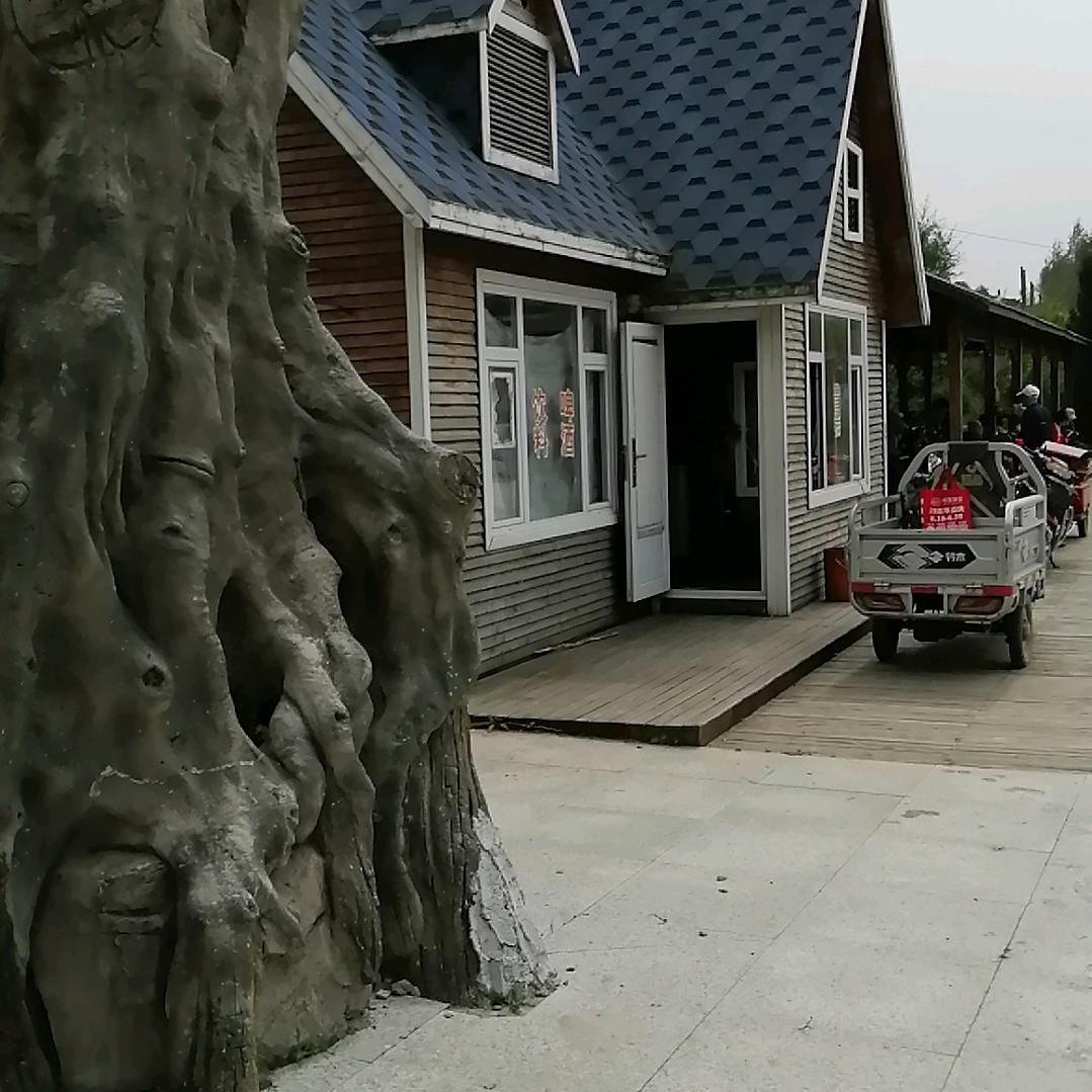 东北姐