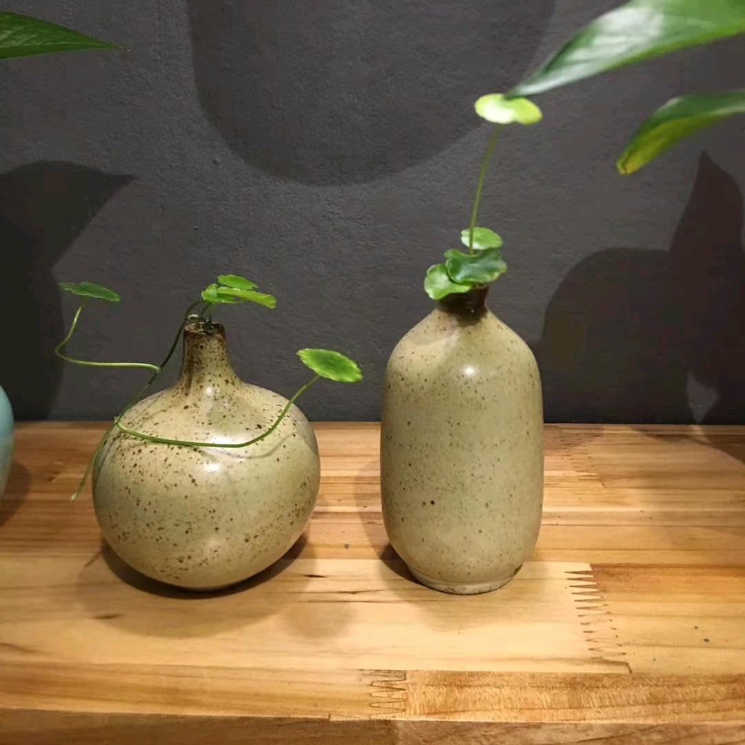 看见播州
