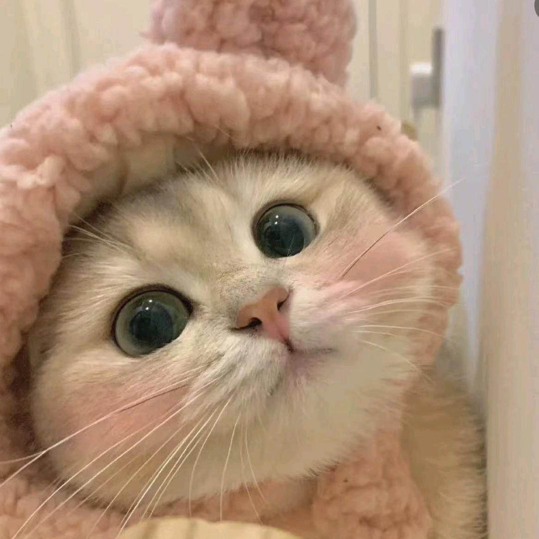 贰佰算一卦