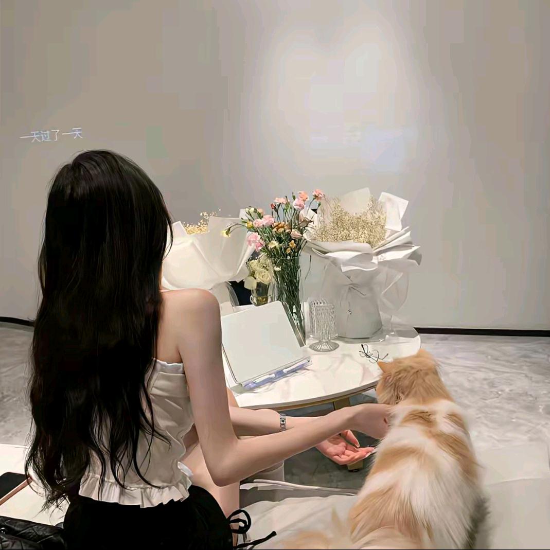 图图小仪