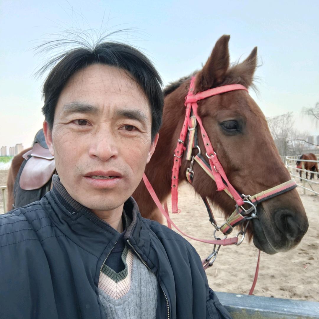三条