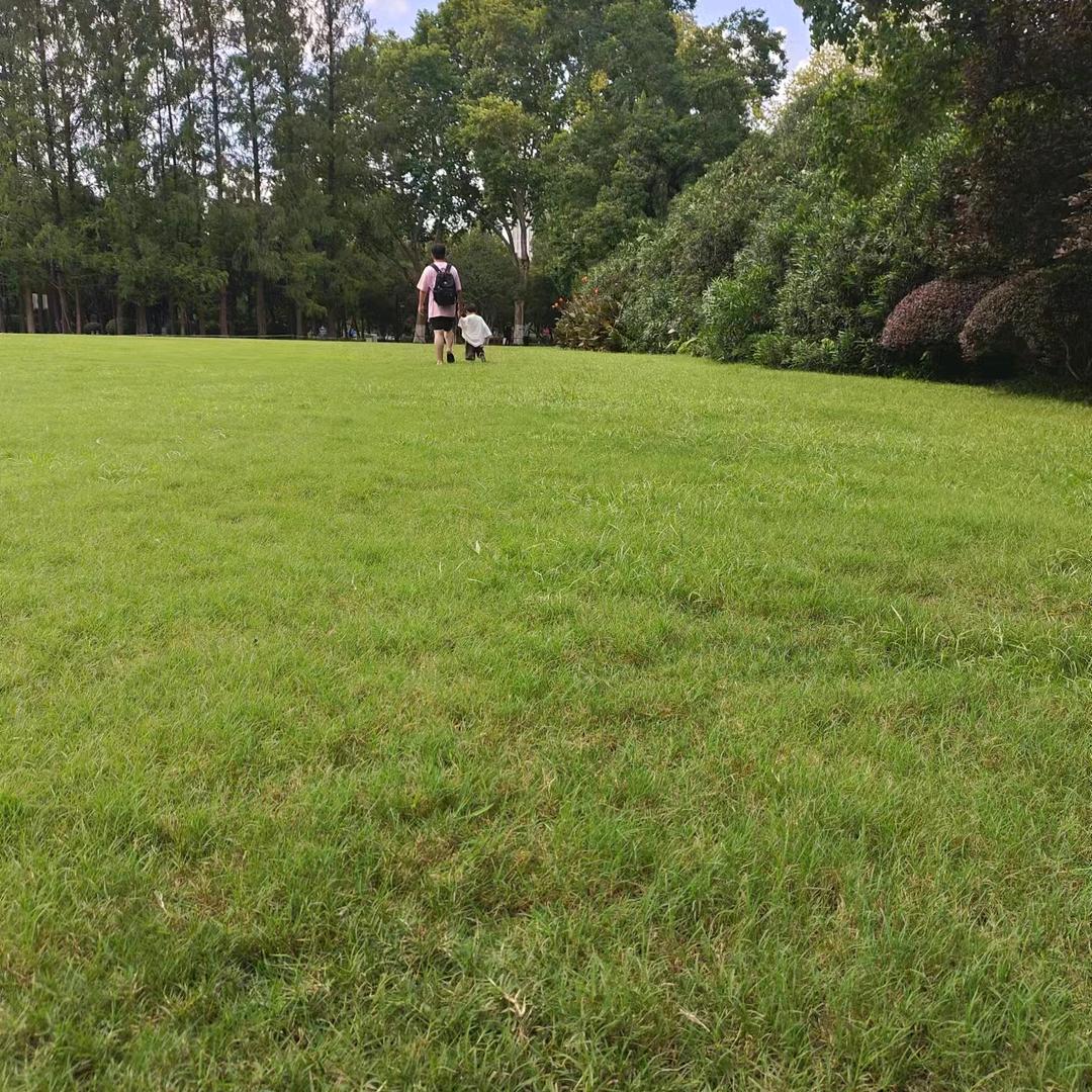 小發正在努力