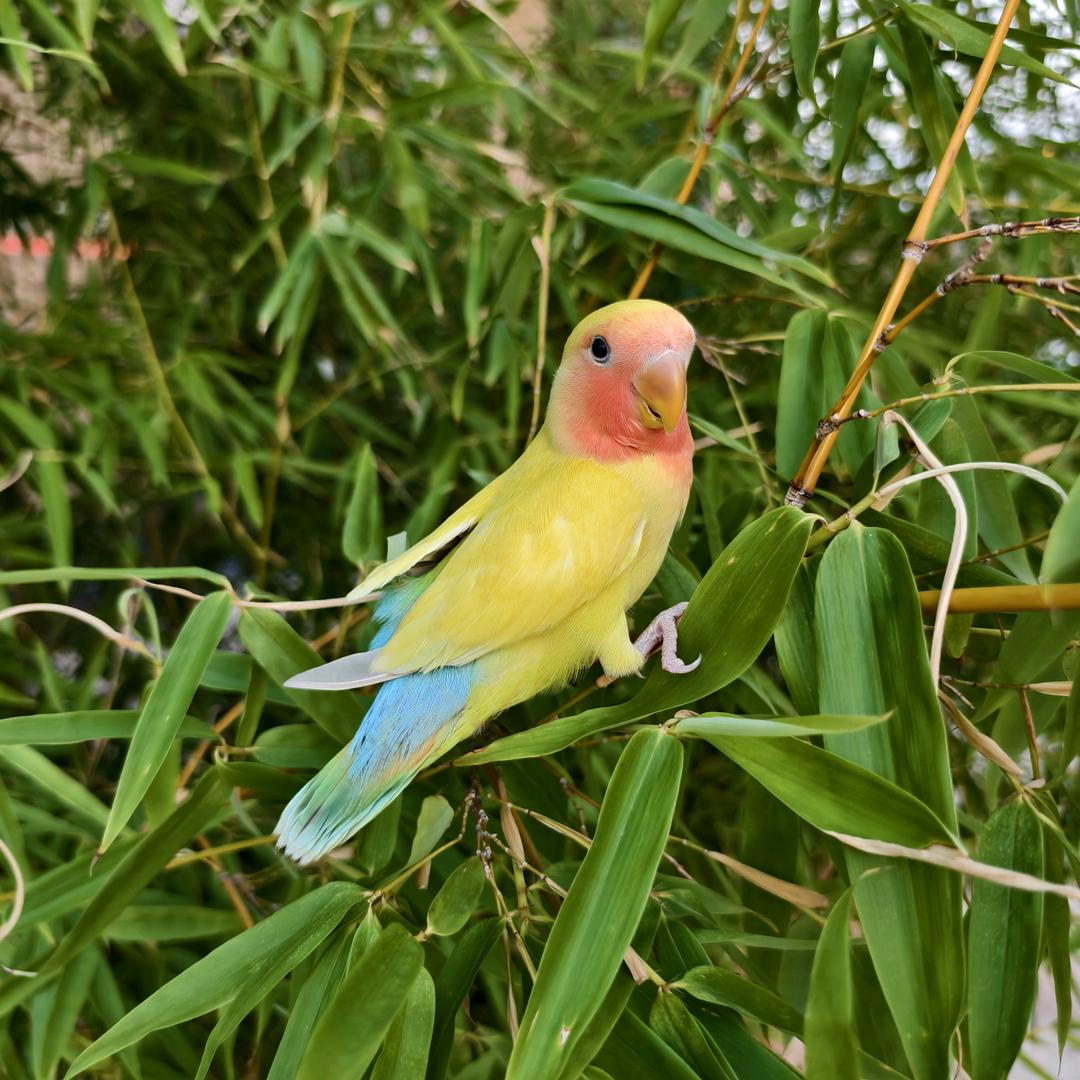 我也到处问