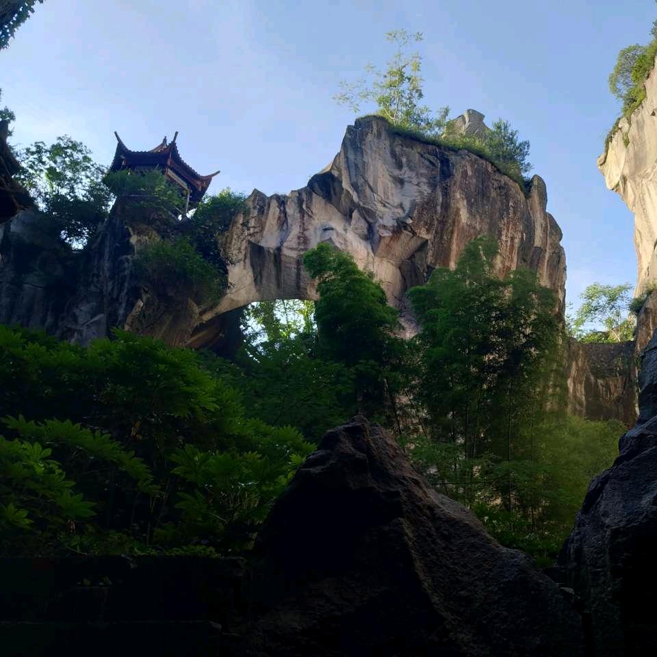 随缘🇨🇳🇨🇳