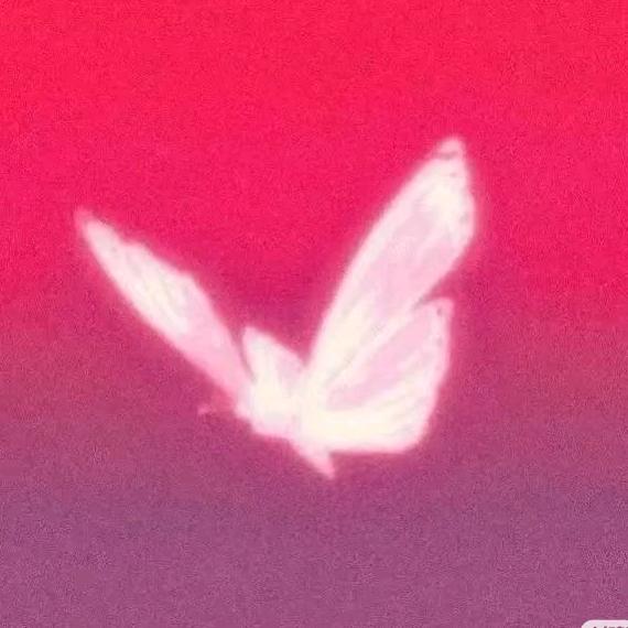 H77🦋