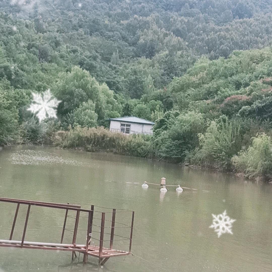 自由人