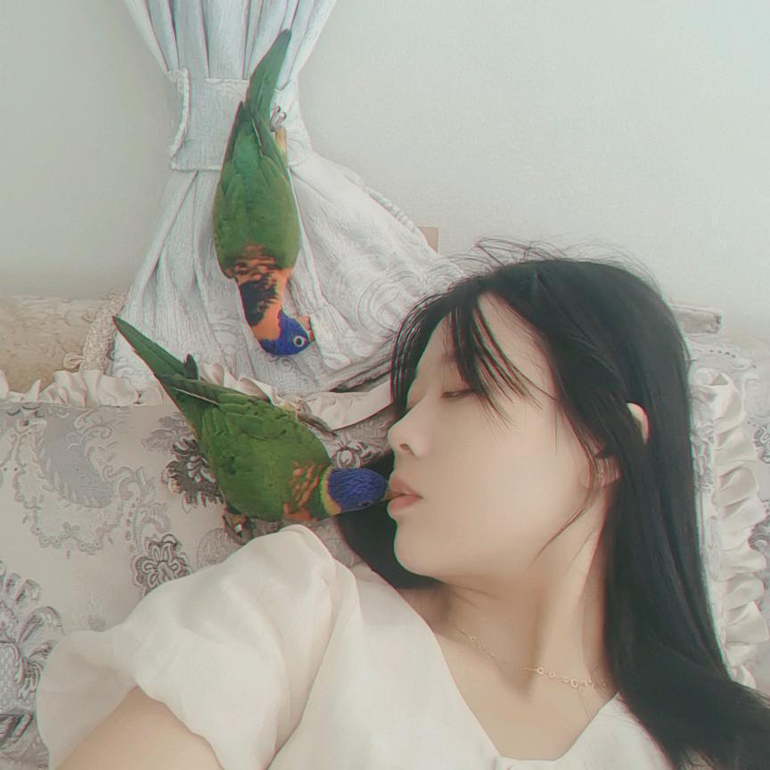 【鹦鹉萌宝】 💕₅²⁰傻ઈོ丫头¹ᶟ