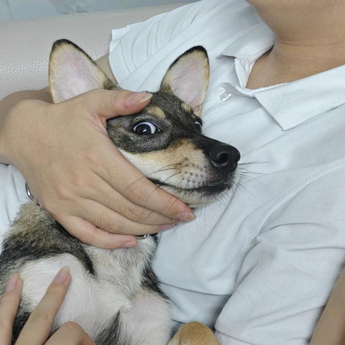 小森宝