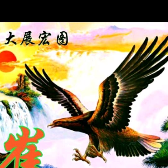 傻傻的我