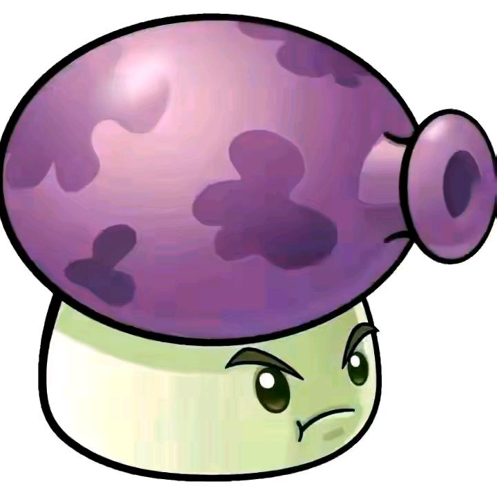 🟣🟣🟣🟣🟣🟣