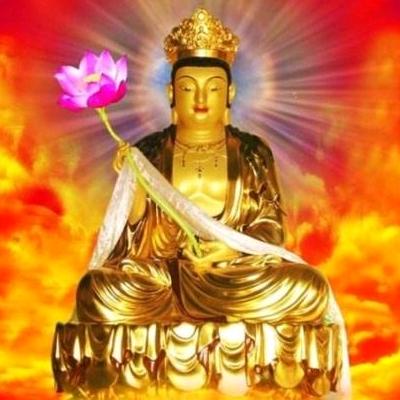 锦羿