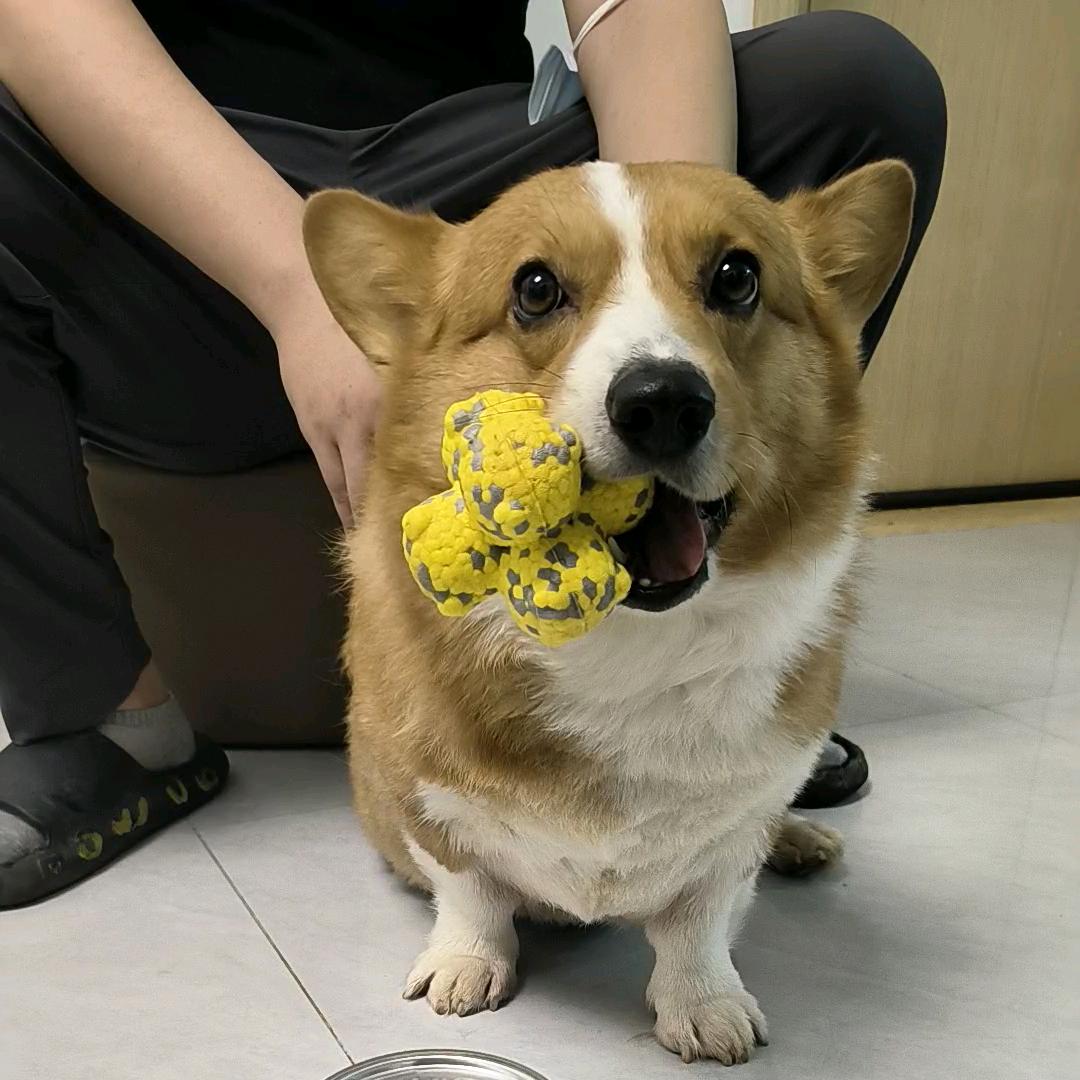 帅米基的生活日常