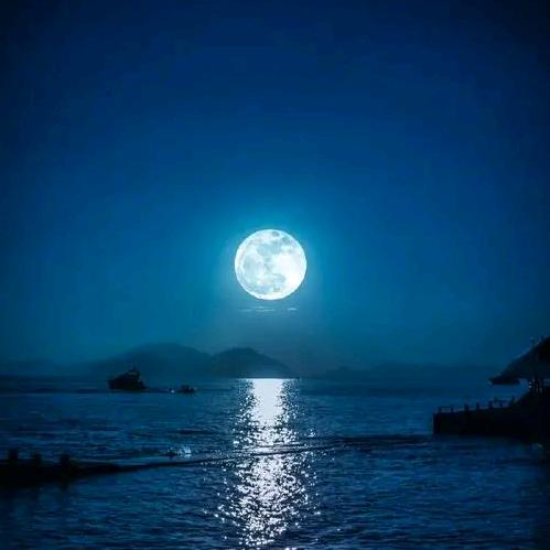 相思浓