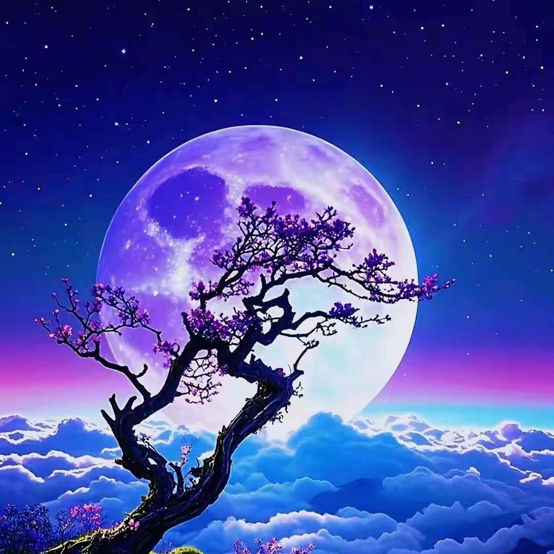 ͡° ͜ʖ ͡°ଘXiao⑦੭ˊᵕˋ੭