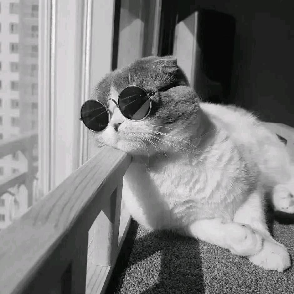 Old boy