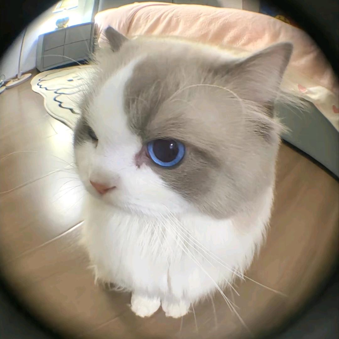 M@qq
