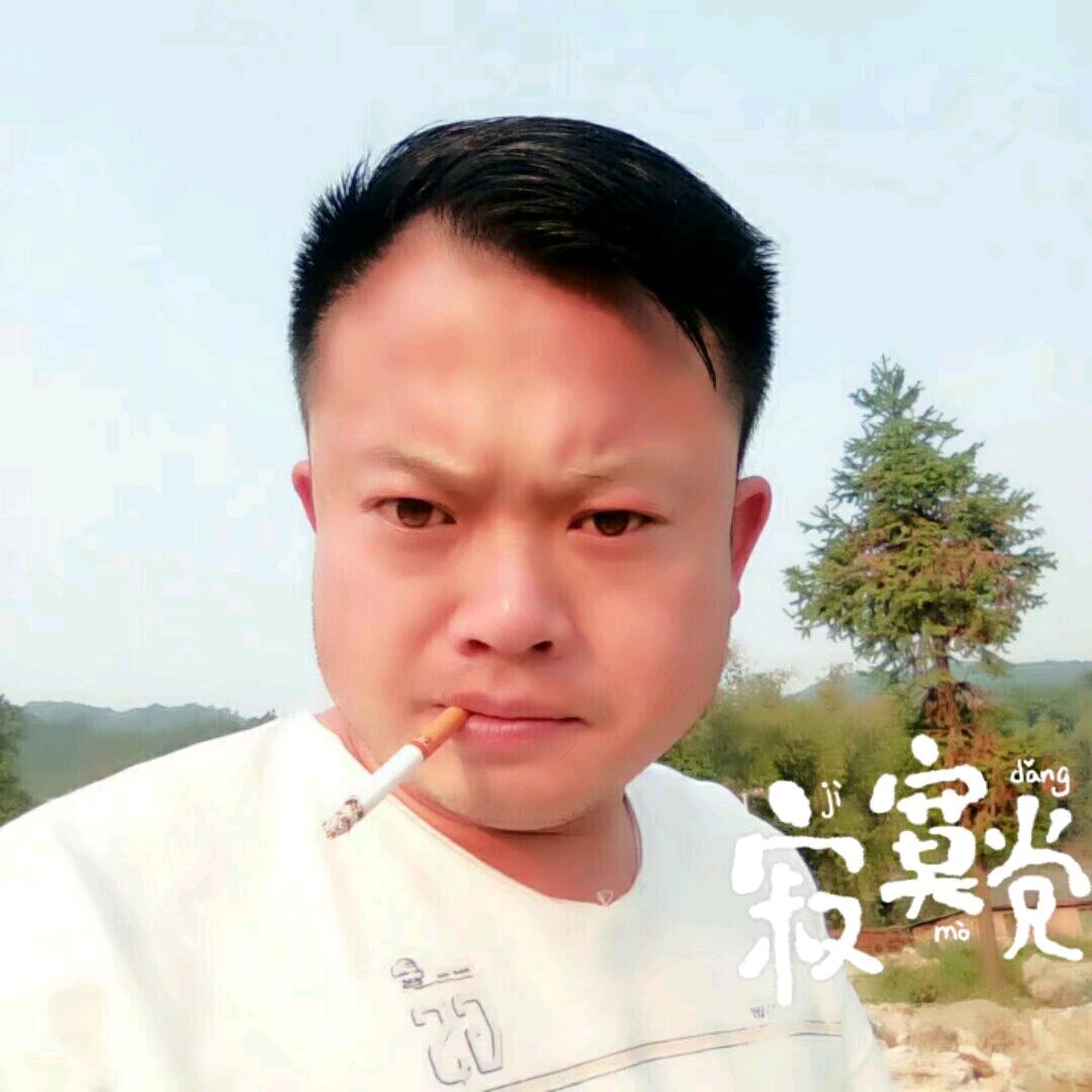 贞丰罗波
