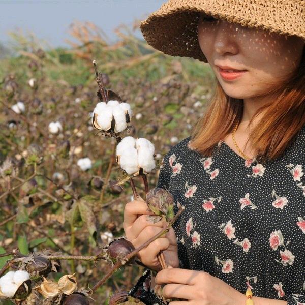 伊暖手工棉花被