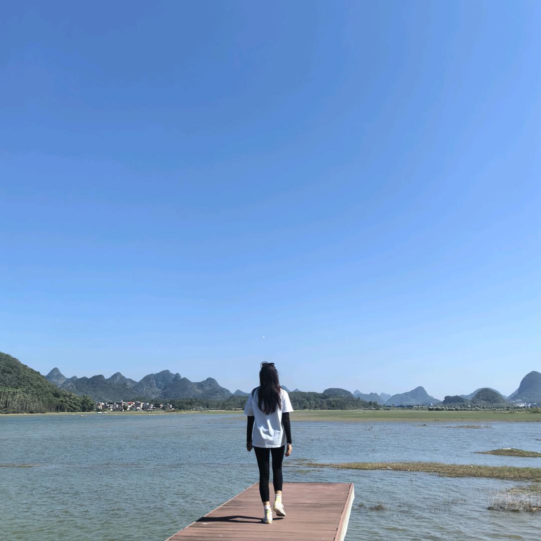 菜鸡