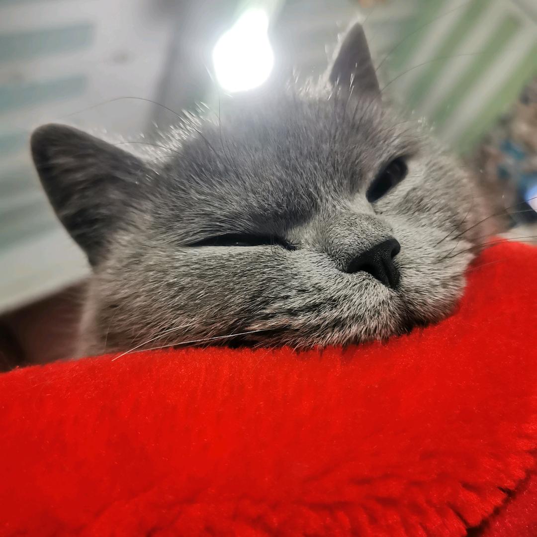 郭子敬第一帅。