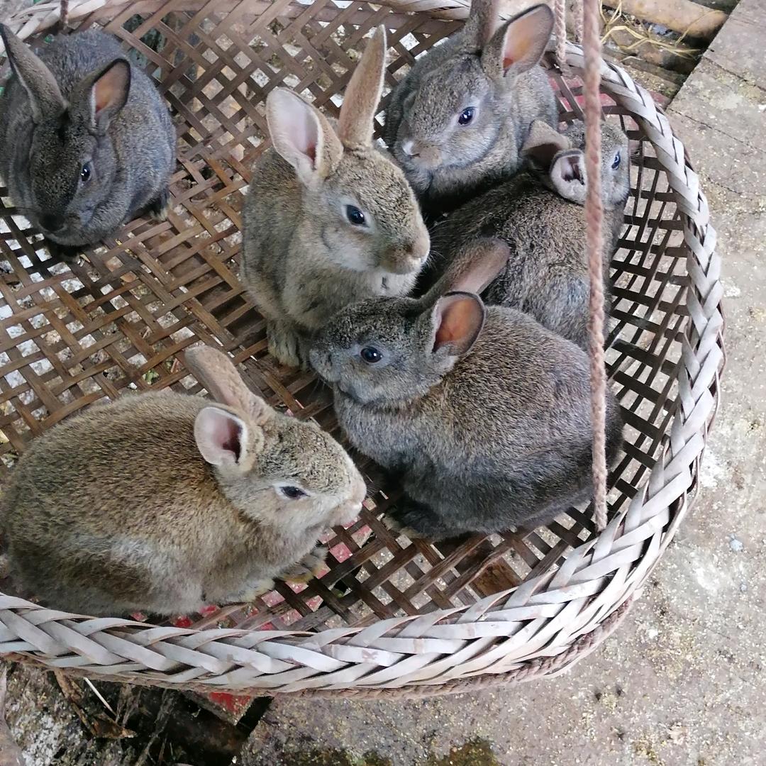 半山腰生态家庭农场