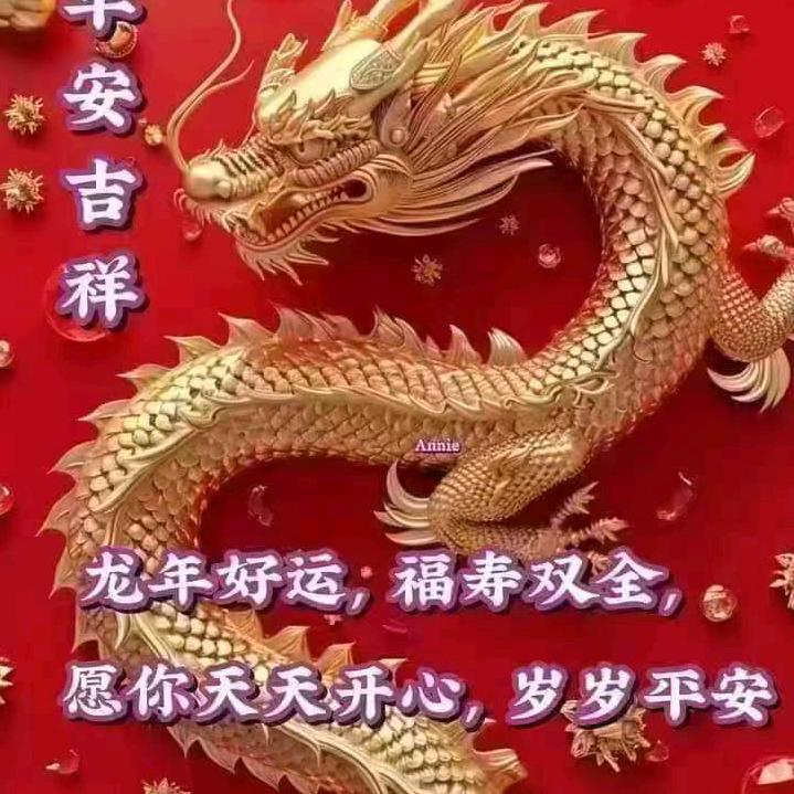 飞龙在此