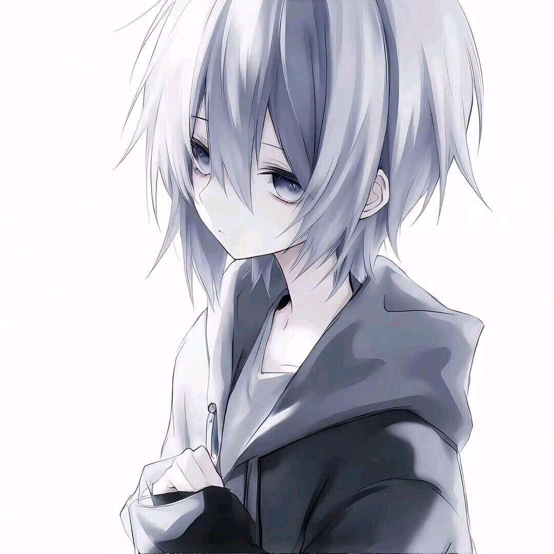 宸酱
