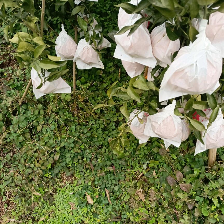 一直都好