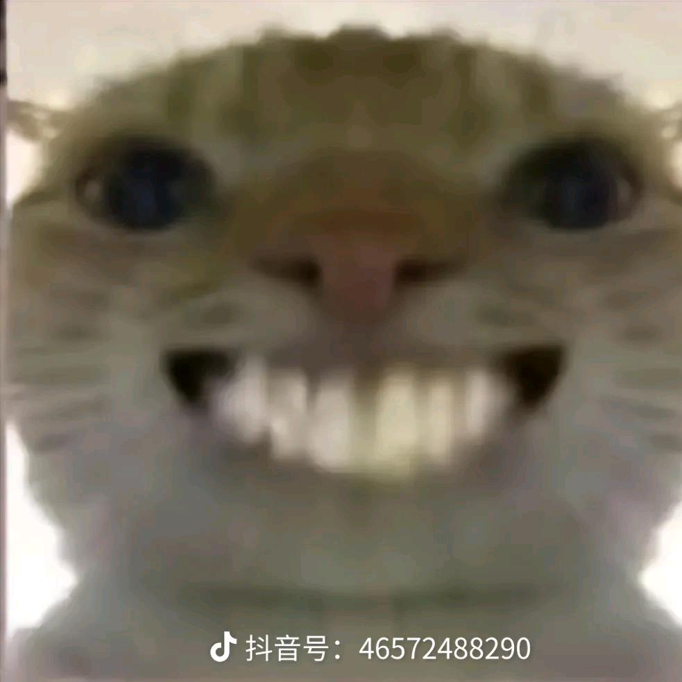 诚信鼠鼠（三角洲代肝）