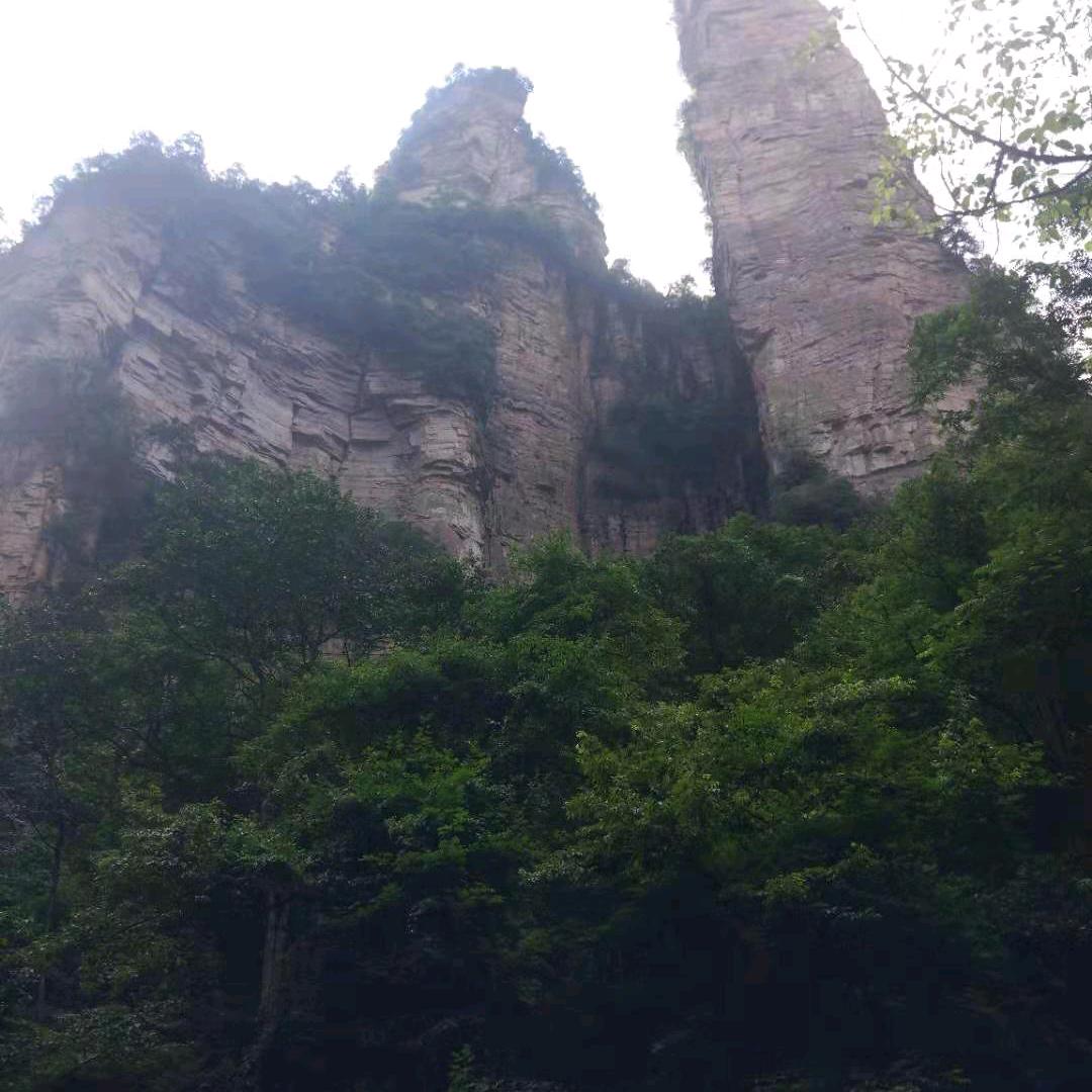 醉挽清风