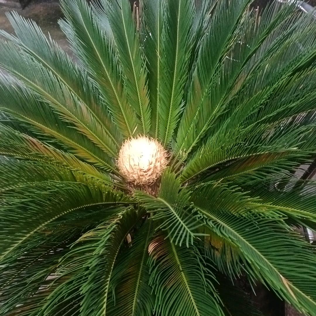 励志