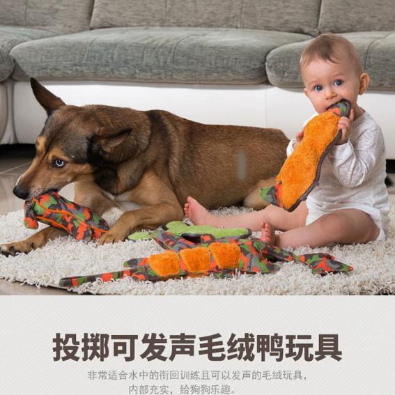 狗狗玩具