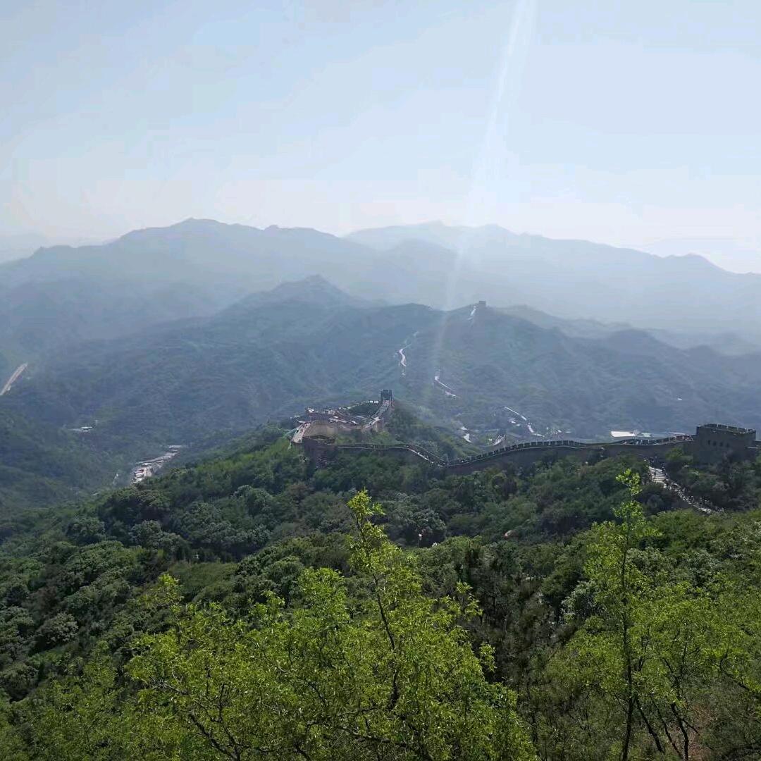 与狼共舞