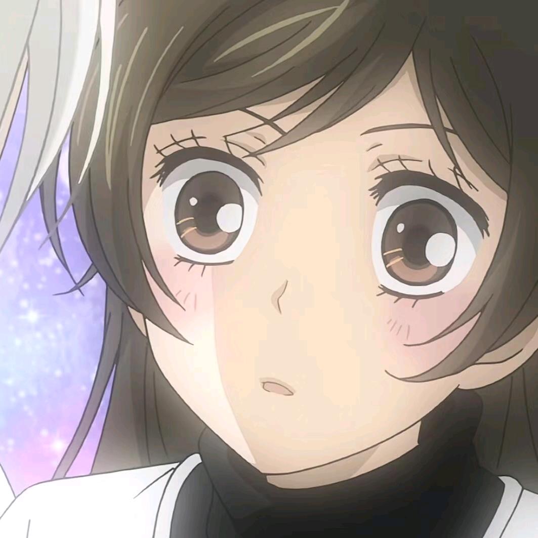 养只会爱我的猫