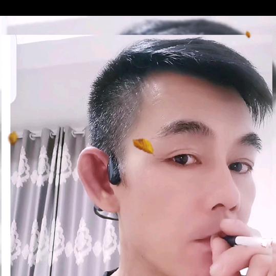勤恳灰狼