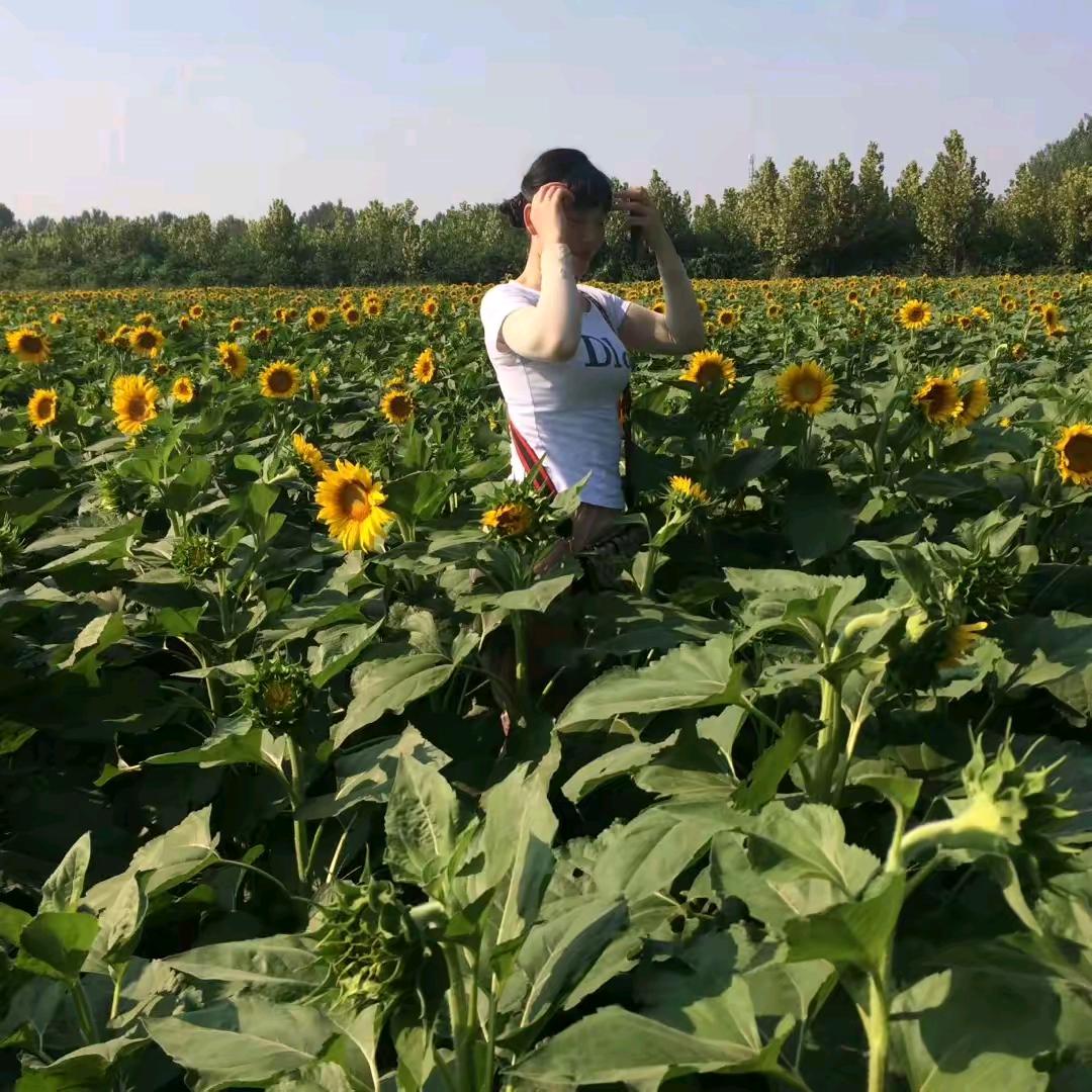 单纯善良诚实🌸